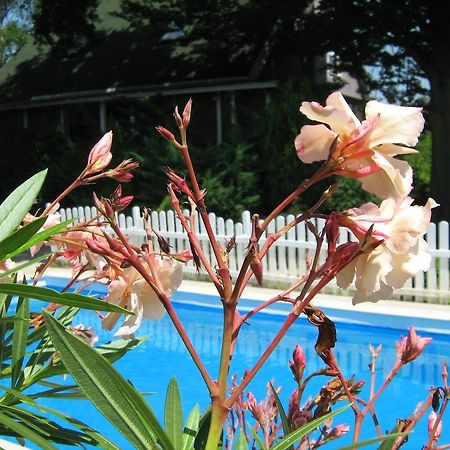 Guest House Westwood Kraljevec Kupinecki Стая снимка
